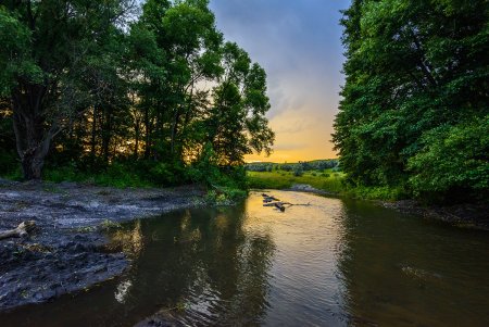 Летом на речке