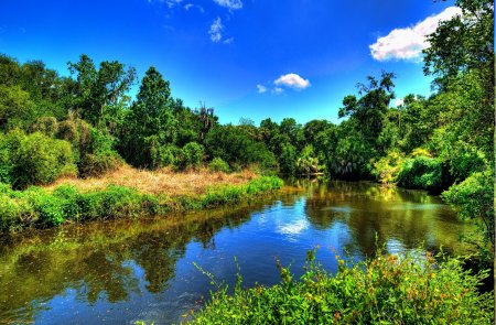 Речка в лесу