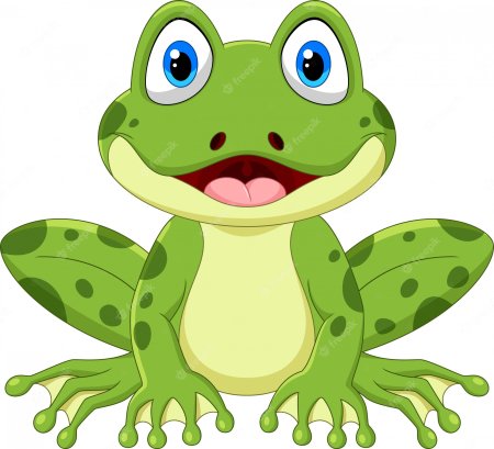 Лягушки на белом фоне мультяшные