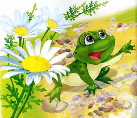 Лягушонок на солнышке