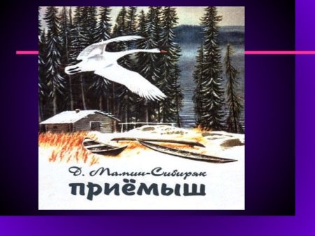 Мамин Сибиряк приемыш книга