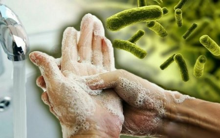 Чистые руки