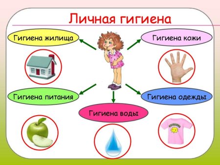 Соблюдение личной гигиены