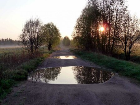 Красивая лужа