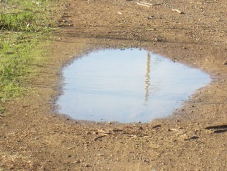 Маленькая лужа
