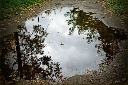 Маленькие лужи