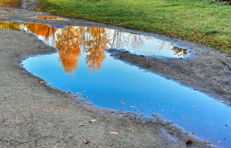 Лужа красиво