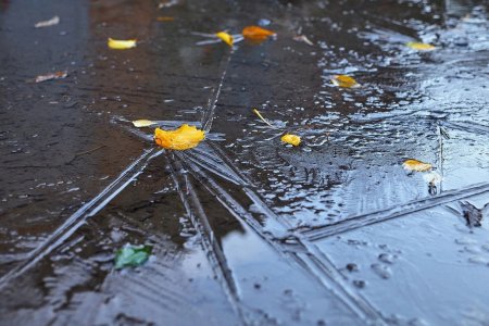 Лед на лужах