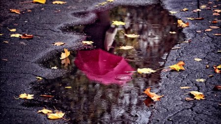 Красивая лужа