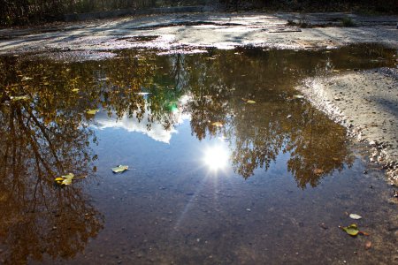 Весна лужи солнце