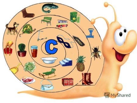 Звук ш улитка логопедическая улитка