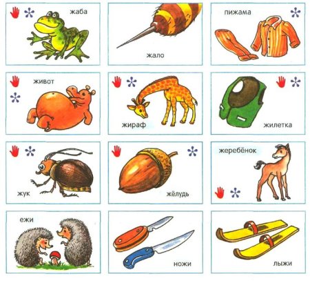 Автоматизация звука ж в словах