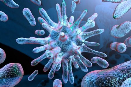 Патогенные микробы микробиология