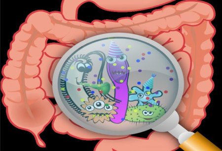 Микробы для детей