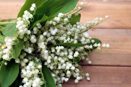 Ландыш Майский букет