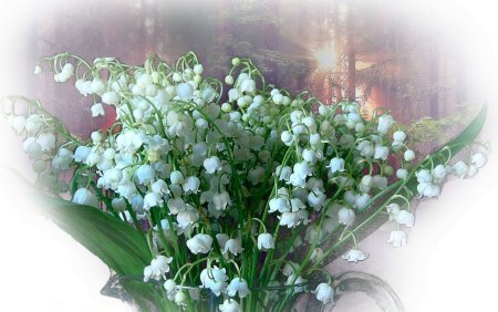 Ландыши и подснежники