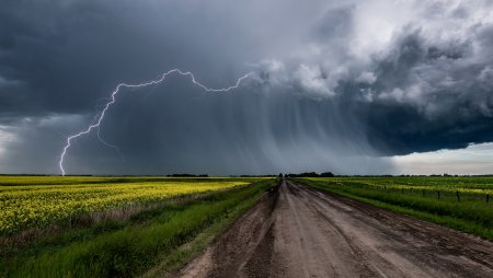 Гроза в поле