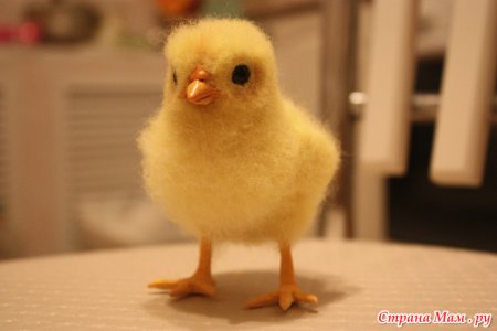 Маленькая Цыпа
