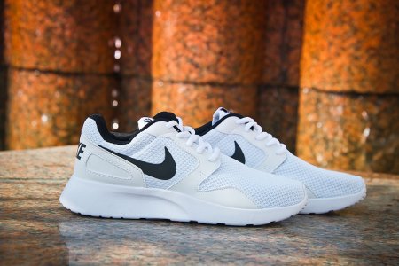Nike Kaishi
