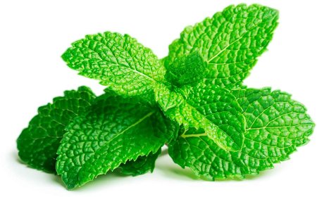 Mentha piperita (Peppermint) Leaf extract