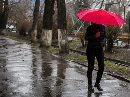 Дождливый день