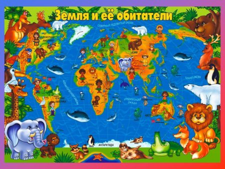 Животные разных континентов для дошкольников