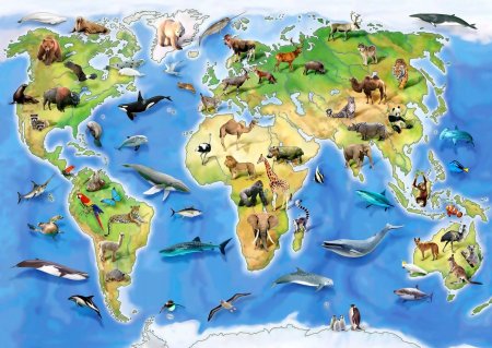 Животные разных континентов