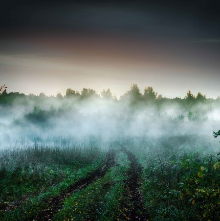 Красивый туман