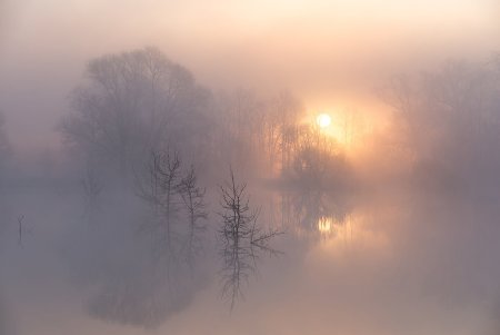 Сквозь туман