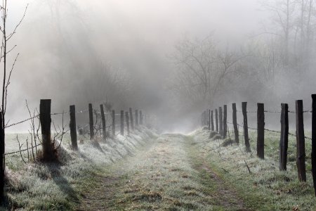 Забор в тумане