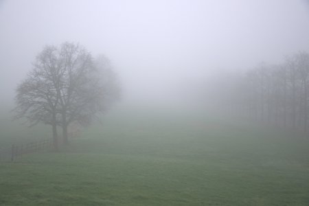 Туман атмосферное явление