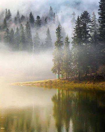 Красивые пейзажи с туманом