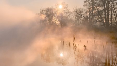 Джонни туман