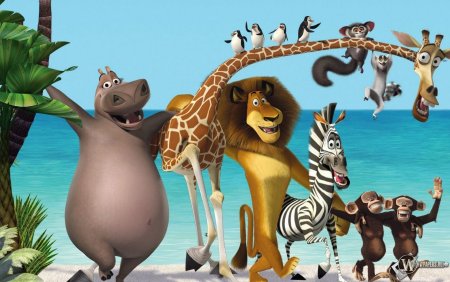 Мадагаскар Алекс Глория Мелман