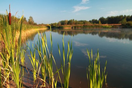 Камыш-Самарские озёра