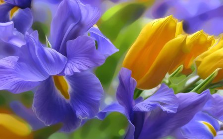 Цветы тюльпаны с ирисами
