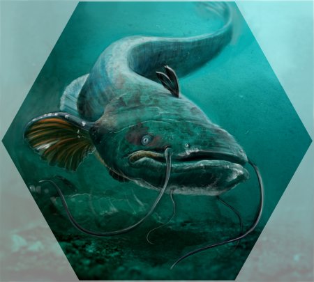 Древний сом