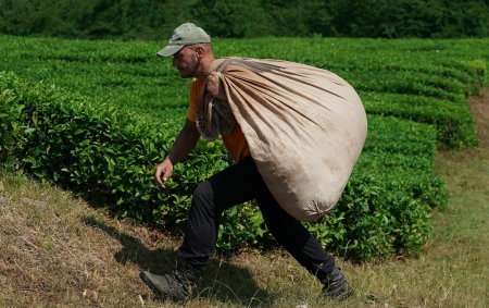 Несет мешок картошки