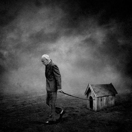 Sarolta ban художник