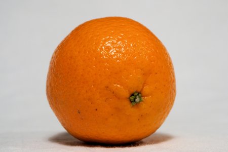 Citrus Clementina Fruit