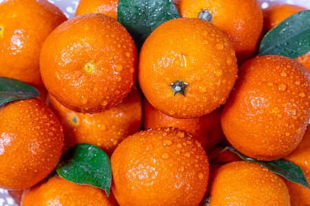 Tangerine Танжерин