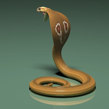 Королевская Кобра Нагайна