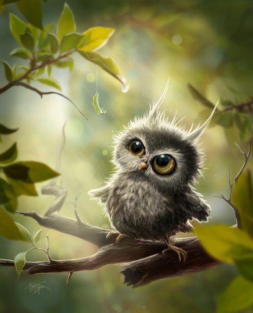 Милый Совенок