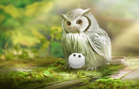 Совёнок Стив