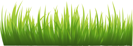 Трава на белом фоне