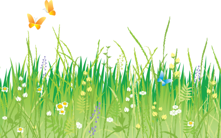 Трава рисунок