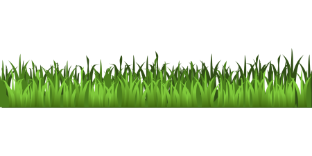 Зеленая лужайка на прозрачном фоне