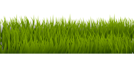 Травка для детей