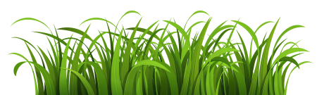 Трава без фона