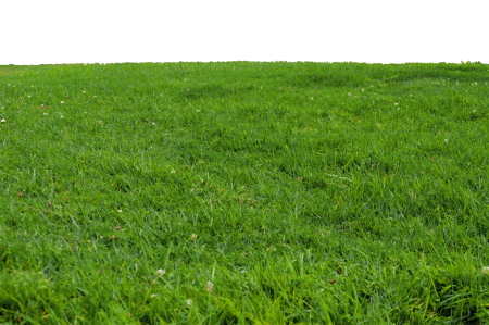 Газон в перспективе